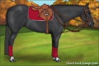 Horse Color:Black and Black