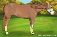 Horse Color:Chestnut Sabino