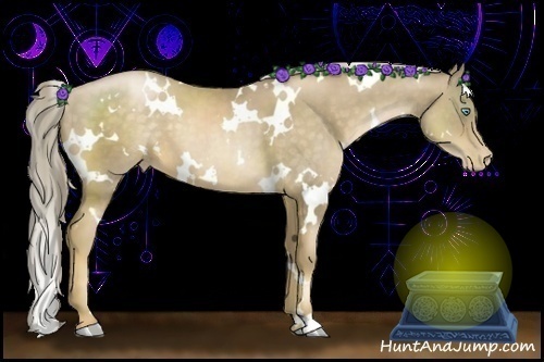 Horse Color:White Spotted Chocolate Palomino Pearl 