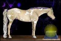 Horse Color:White Spotted Chocolate Palomino Pearl
