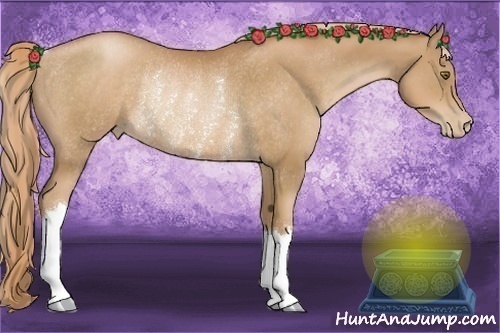 Horse Color:Liver Chestnut Pearl Rabicano 