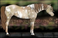 Horse Color:White Spotted Liver Chestnut Pearl Sabino 