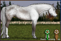 Horse Color:Gray Bay 