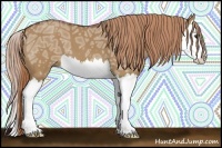 Horse Color:Red Dun Ice Splash 