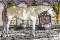 Horse Color:White Spotted Liver Red Dun Splash 