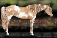 Horse Color:White Spotted Gold Champagne 