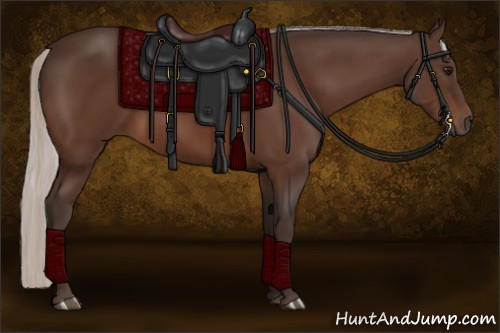 Horse Color:Silver Brown Sabino Rabicano