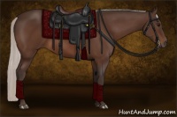Horse Color:Silver Brown Sabino Rabicano 