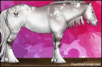 Horse Color:White Spotted Chocolate Silver Brown Chinchilla Onyx