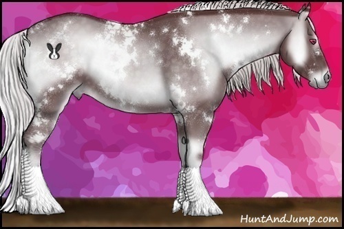 Horse Color:White Spotted Chocolate Silver Blue Onyx Chinchilla 