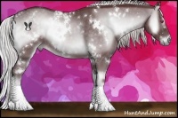 Horse Color:White Spotted Chocolate Silver Blue Onyx Chinchilla 