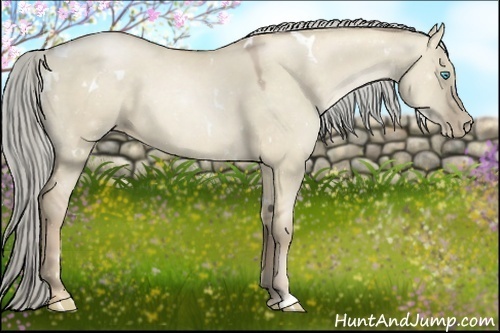 Horse Color:White Spotted Chocolate Palomino Pearl Dun 