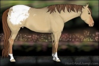 Horse Color:Red Dun Varnish