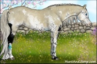 Horse Color:White Spotted Chocolate Palomino Dun Splash