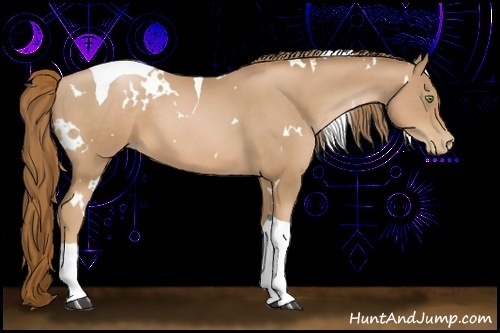 Horse Color:White Spotted Chestnut Pearl Tobiano 