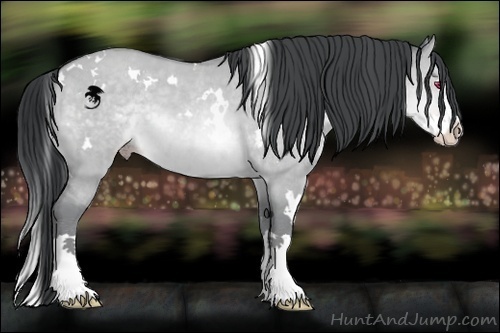 Horse Color:White Spotted Sable Champagne Chinchilla Dun Splash 