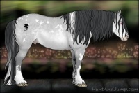Horse Color:White Spotted Sable Champagne Chinchilla Dun Splash