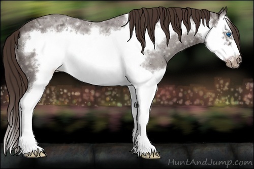 Horse Color:Liver Red Ice Roan Splash Frame