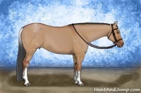 Horse Color:White Spotted Bay Dun 