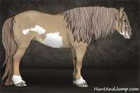 Horse Color:Chocolate Palomino Dun Frame Brindle