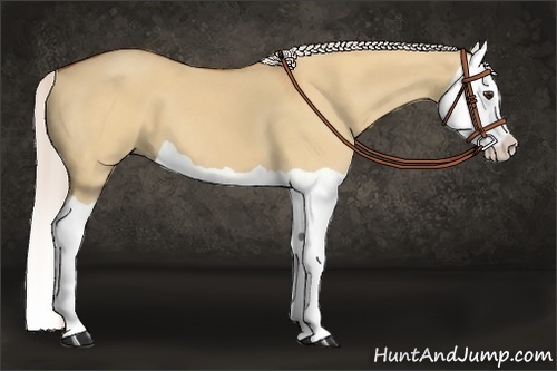 Horse Color:Silver Bay Dun Splash 