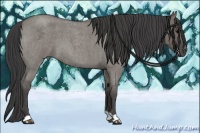 Horse Color:Smoky Grullo Roan 