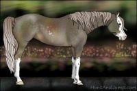 Horse Color:Chocolate Palomino Sabino Splash 