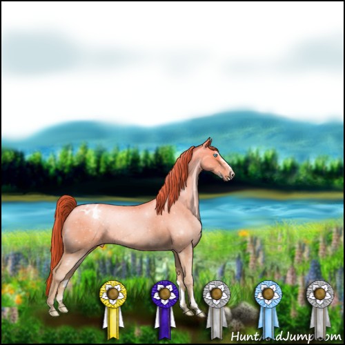 Horse Color:Buckskin Pearl Dun Sabino Appaloosa Rabicano 