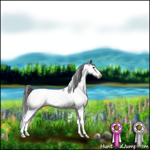 Horse Color:Blue Onyx Sabino Frame Appaloosa Rabicano