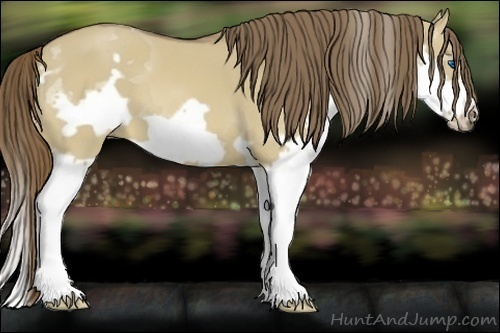 Horse Color:Liver Red Dun Splash Frame 