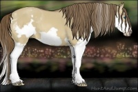 Horse Color:Liver Red Dun Splash Frame 