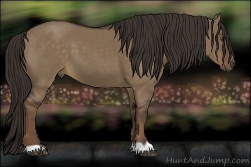 Horse Color:Liver Red Dun 