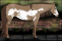 Horse Color:Liver Red Dun Frame 