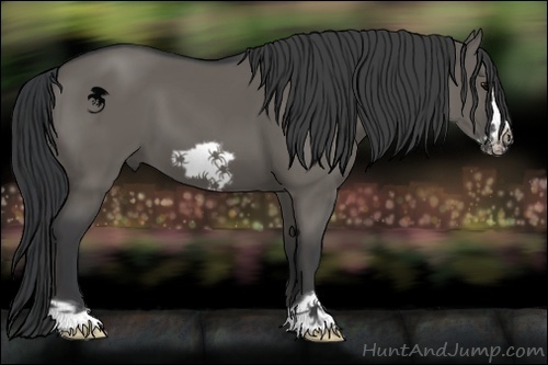 Horse Color:Grullo Frame