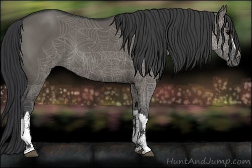 Horse Color:Grullo