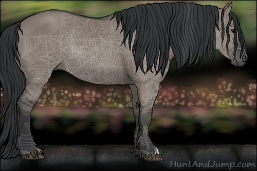 Horse Color:Grullo