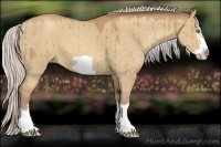 Horse Color:Silver Sable Champagne Dun Splash Frame 