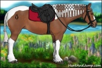 Horse Color:Silver Bay Tobiano