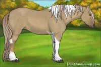 Horse Color:Chocolate Palomino Dun Tobiano