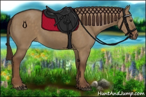 Horse Color:Liver Red Dun 