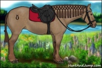 Horse Color:Liver Red Dun