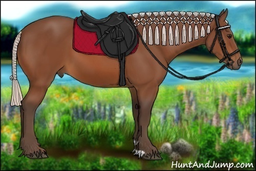 Horse Color:Silver Bay 