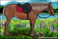 Horse Color:Silver Bay 