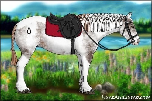 Horse Color:White Spotted Liver Chestnut Ice Tobiano 