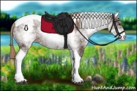 Horse Color:White Spotted Liver Chestnut Ice Tobiano