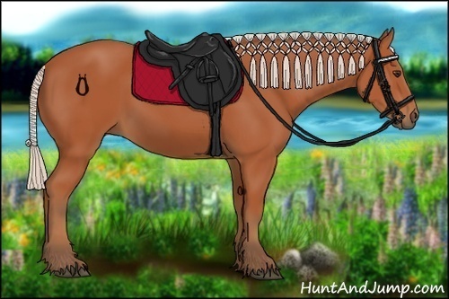 Horse Color:Silver Bay 