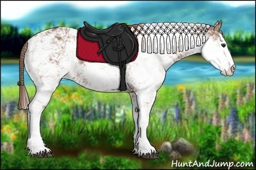 Horse Color:Chestnut Sabino Rabicano