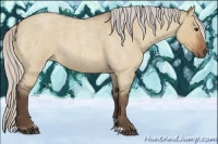 Horse Color:Silver Bay Roan Dun 