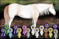 Horse Color:White Spotted Buckskin Roan Pearl 