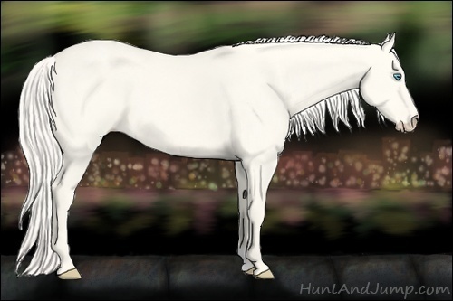 Horse Color:Cremello Dun 